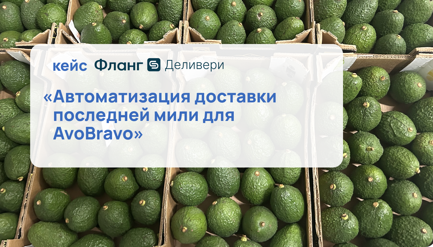Авобраво: автоматизация доставки экзотических фруктов в Петербурге и Москве